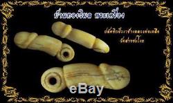 100% Thai Buddha Amulet Paladklick LP Lear Wat Saochangok Certificate