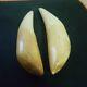 2 Pair Imitate Tiger Teeth Fang Resin Hand Carved Thai Amulet Buddha 4 DHL