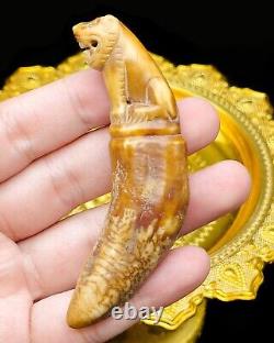 3 Carved Pig Tooth Talisman LP Nok Yantra Hunter Protect Thai Amulet #aa3888