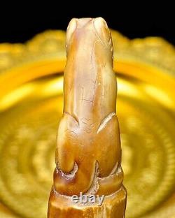3 Carved Pig Tooth Talisman LP Nok Yantra Hunter Protect Thai Amulet #aa3888