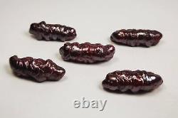 5 Pcs Best Powerful Leklai Naga Suriyan Racha Red Thai Amulet Magic Holy Stone