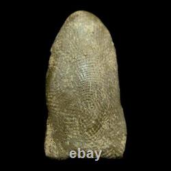 Ancient Phra Rod Kru Wat Maha Wan Benjapakee Top Five Thai Buddha Amulet