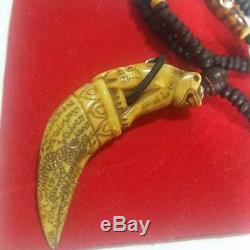 Boar Tooth Carved Tiger LP Sawai Temple Thai Buddha Amulets Expel Enemy Devil