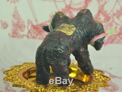 Buffalo 3 BULL Wua Tanu Bucha Statue Protect thai buddha amulet Talisman LP NOI