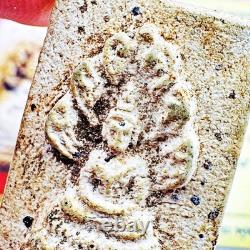 Certificate Somdej Nakpog Buddha Naga Cobra 7head Shield Kuay Thai Amulet #18419