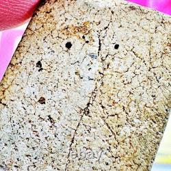 Certificate Somdej Nakpog Buddha Naga Cobra 7head Shield Kuay Thai Amulet #18419