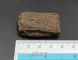 Excellent LP Pina Magic Herb Powder Chanmak Mantra Thai Buddha Amulet CK888