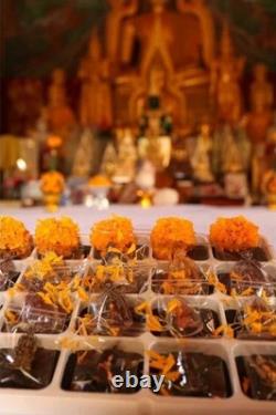 Golden Phra Naga Prok Buddha Amulet Holy Amulet Thai Buddhist Talisman Pendant