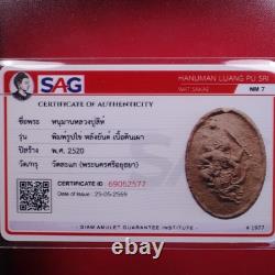 Hanuman LP Sri Wat Sakae(Nur Din) B. E. 2520, Thai Buddha amule & CARD#3