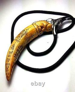 LP Pern Pig Tooth Carving Tiger Thai Buddha Amulet Life Protect Gain Wealth