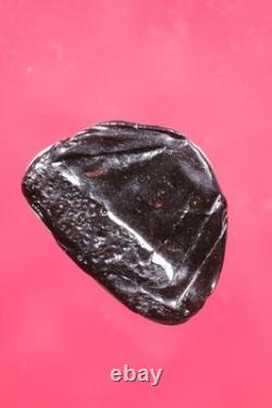 LP Thong Suk Wat Tanod Loung BE 2555. Thai buddha amulet & Card #8