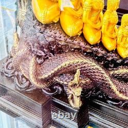 Large Statue Meditation Combine 5 Buddha Wat Nakpog Protection Thai Amulet 18537