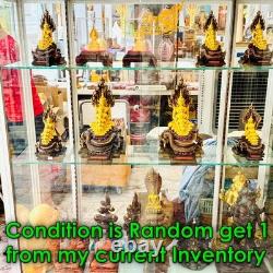 Large Statue Meditation Combine 5 Buddha Wat Nakpog Protection Thai Amulet 18537