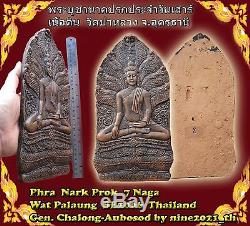 Magic! Phra Nark Prok 7 Naga Wat Palaung BE2006 Thai Buddha Wat Old Antique Rare