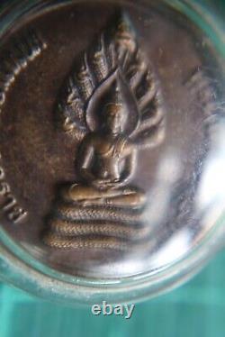 Miracle Genuine Thai Amulet Pendant Phra Naga Prok Phra Naga Covers Buddha