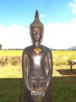OLD Thai Style Ayutthaya Standing Bronze Protection Buddha Statue, Height 40'