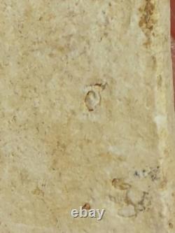 Original Thai Amulet Pendant Buddha phra somdej lp toh wat raking phim yai