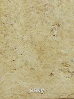 Original Thai Amulet Pendant Buddha phra somdej lp toh wat raking phim yai