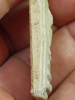 Original Thai Amulet Pendant Buddha phra somdej lp toh wat raking phim yai