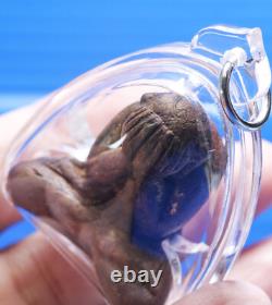 Phra Pidta, Talisman, Thai, LP Kron, Buddha, Pendant, Rare, Amulet, Temple, blessed, Old