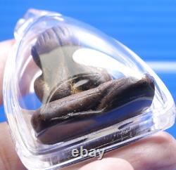 Phra Pidta, Talisman, Thai, LP Kron, Buddha, Pendant, Rare, Amulet, Temple, blessed, Old
