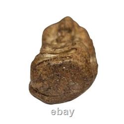 Phra Rod Ancient Thai Buddha Amulet for Escaping Danger and Harm