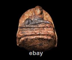 Phra Rod Kru Mahawan Ancient Clay Buddha Amulet Thai Benjapakee Talisman