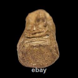 Phra Rod Lamphun Kru Wat Mahawan Thai Buddha Amulet Ancient Lanna