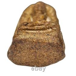 Phra Rod Thai Amulet Pendant Ancient Buddha Charm for Protection & Safety