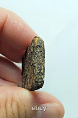 Phra Somdej LP Toh Wat Rakhang Pim Yai Thai Amulet Buddha Talisman Protection