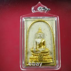 Phra Somdej, Lp Tae Wat Samngam BE. 2516 Nur Phong, Thai buddha amulet. CARD#3