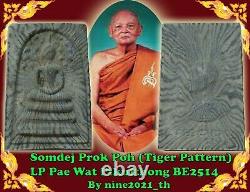 Phra Somdej Prok Poh Tiger Pattern LP Pae Wat Pikulthong Old Thai Amulet Buddha