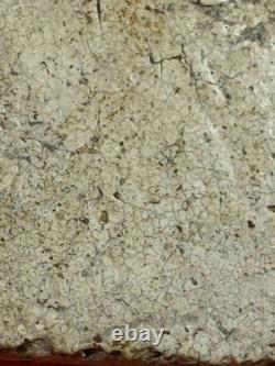 Phra Somdej Wat Rakang LP Toh Thai Amulet Thailand Buddha Lucky Talisman