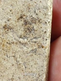 Phra Somdej Wat Rakang LP Toh Thai Amulet Thailand Buddha Lucky Talisman