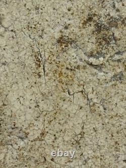 Phra Somdej Wat Rakang LP Toh Thai Amulet Thailand Buddha Lucky Talisman