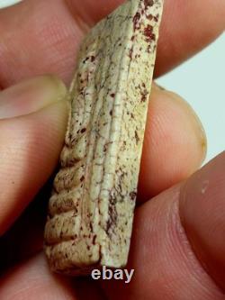 Phra Somdej Wat Rakhang Phim Aok Krut Lp Toh Thai Amulet Buddha Lucky Talisman