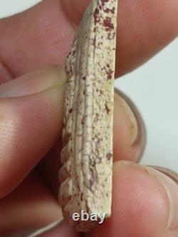 Phra Somdej Wat Rakhang Phim Aok Krut Lp Toh Thai Amulet Buddha Lucky Talisman