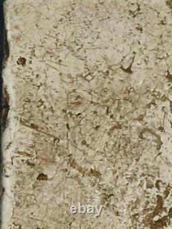 Phra Somdej Wat Rakhang Phim Yai Lp Toh Thai Amulet Buddha Lucky Talisman