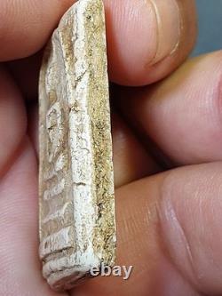 Phra Somdej Wat Rakhang Phim Yai Lp Toh Thai Amulet Buddha Lucky Talisman