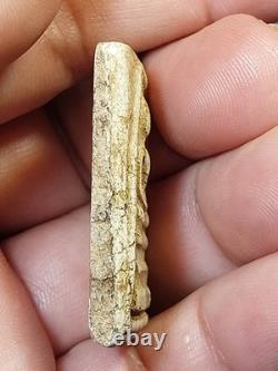 Phra Somdej Wat Rakhang Phim Yai Lp Toh Thai Amulet Buddha Lucky Talisman