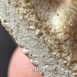 Phra Somdet Phim Nang Phaya Wat Prasatboonyavat B. E 2506 Thai Amulet Buddha