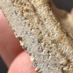 Phra Somdet Phim Nang Phaya Wat Prasatboonyavat B. E 2506 Thai Amulet Buddha