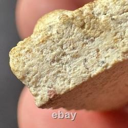 Phra Somdet Phim Nang Phaya Wat Prasatboonyavat B. E 2506 Thai Amulet Buddha