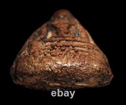 Phra Tha Maprang Wat Satue Ancient Buddha Ayutthaya Period Thai Amulet