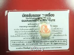 Phraput Wat Plub Phim Tuktayai (nuer Phong) Be. 2516, Thai Buddha Amulet&card#2