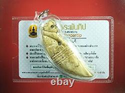 Rare Collectibles, Sur Loungpor Sai Wat Bang Hia Thai buddha amulet &Card#2