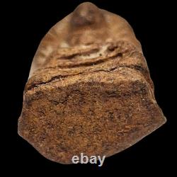 Rare Phra Rod Thai Buddha Amulet Protection from Danger Sacred Talisman