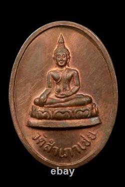 Rein Toe-hack Lp Thong Wat Sampowchoey 2529 Magic Coin Buddha Rare Thai Amulet