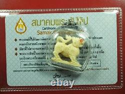 SingHa San Kwan (Phim Yai) By Lp Hom Wat Chamak thai buddha amulet. Card. #1