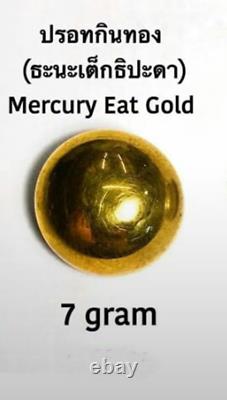 Thai Amulet Mercury Eat Gold Magic Arjan O Power Danger Wealthy Health Buddha